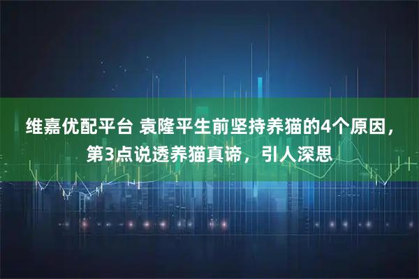 维嘉优配平台 袁隆平生前坚持养猫的4个原因，第3点说透养猫真谛，引人深思