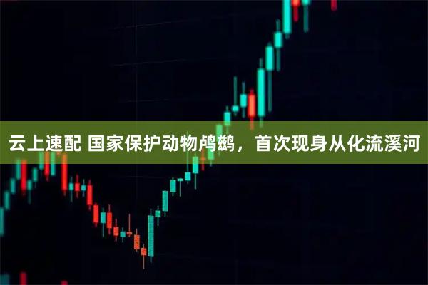云上速配 国家保护动物鸬鹚，首次现身从化流溪河