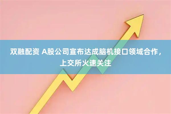 双融配资 A股公司宣布达成脑机接口领域合作，上交所火速关注