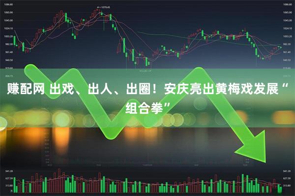 赚配网 出戏、出人、出圈！安庆亮出黄梅戏发展“组合拳”