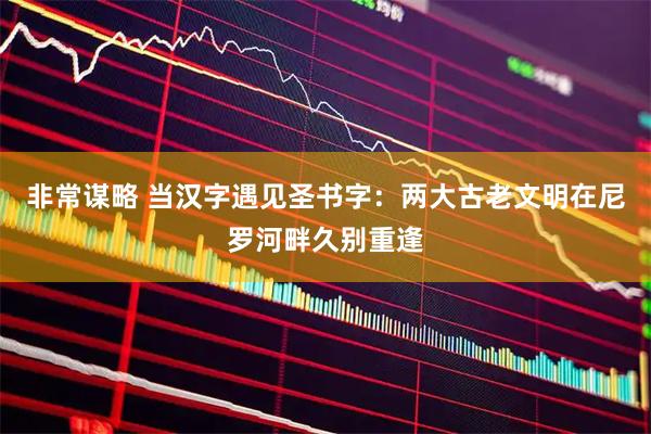 非常谋略 当汉字遇见圣书字：两大古老文明在尼罗河畔久别重逢